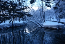 accbb260bf1d883eef9c5419b99f69d5